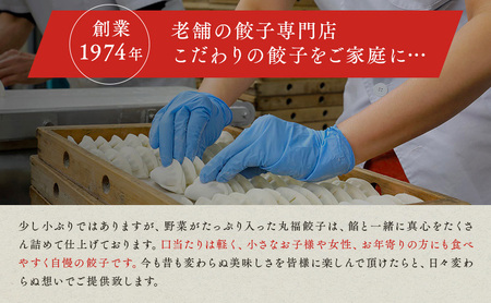 丸福餃子　茶餃子4パックセット 夕飯 晩御飯 惣菜 つまみ おかず お酒のお供 冷凍餃子 冷凍 冷凍惣菜 