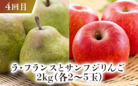 【先行予約令和8年発送】 みちのく“秋色”定期便 全4回 もも モモ 桃 デザート フルーツ 果物 くだもの 果実 食品 山形県 FSY-2663