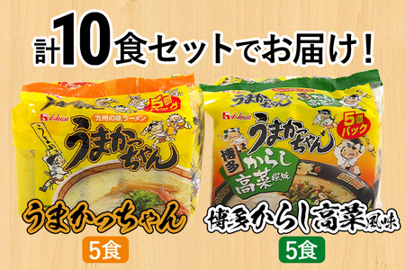 豚骨ラーメン うまかっちゃん（5食）、博多からし高菜風味（5食） 計10食セット お取り寄せグルメ お取り寄せ 福岡 お土産 九州 福岡土産 取り寄せ グルメ 福岡県