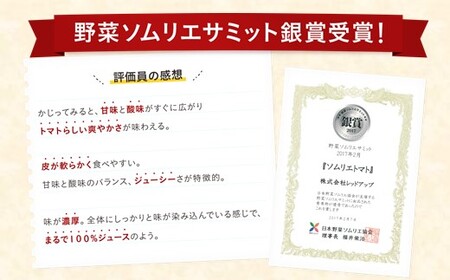 【特別栽培農産物】訳あり 大玉 ソムリエトマト 約3kg～5kg |  ミニトマト トマト 野菜 熊本県 玉名市