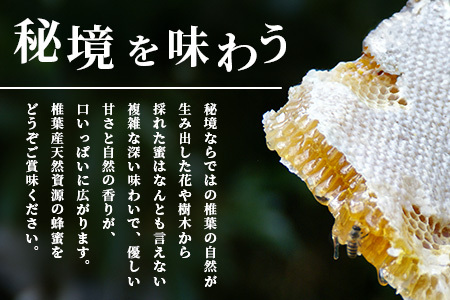 【秘境を味わう】【7営業日以内発送】椎葉の秘蜜 【250g×4本】国産天然はちみつ【数量限定】蜂蜜 はちみつ ハチミツ 養蜂 国産 天然 百花蜜 希少 250g 1000g 1kg MS-07