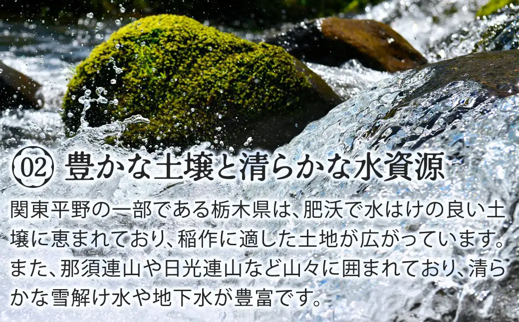栃木県鹿沼市産 とちぎの星 無洗米 5kg 令和7年産 | 水稲うるち精米 単一原料米 お米 特A 大粒 甘さ ※沖縄・離島への配送不可