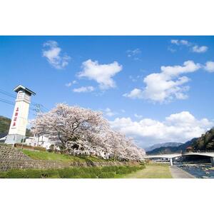 【三朝町】JTBふるさと旅行券（900,000円分）有効期間5年 | 予約 宿泊 観光 体験 温泉 ホテル 旅館 チケット 子供 子連れ カップル 家族 店頭 電話 三朝