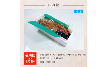 うなぎの蒲焼き(大) 2尾×6回 定期便 6ヶ月 定期コース タレ付き 山椒付き