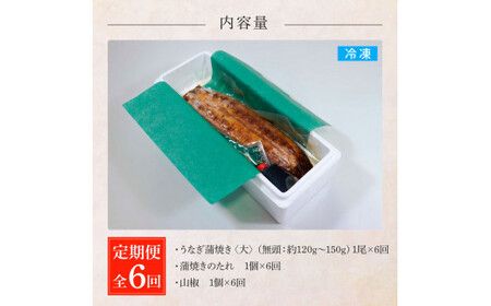 うなぎの蒲焼き(大) 1尾×6回 定期便 6ヶ月 定期コース タレ付き 山椒付き