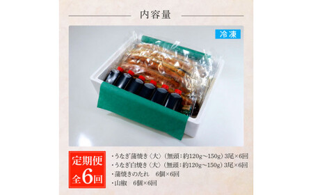 うなぎの蒲焼き(大)+白焼き(大) 各3尾×6回 定期便 6ヶ月 定期コース タレ付き 山椒付き 