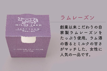 佐賀脊振高原ミルン牧場のアイスクリーム10個セット(H102122)