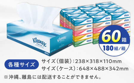 クリネックス 60箱 ボックスティッシュ ティッシュペーパー [BDBH001-1