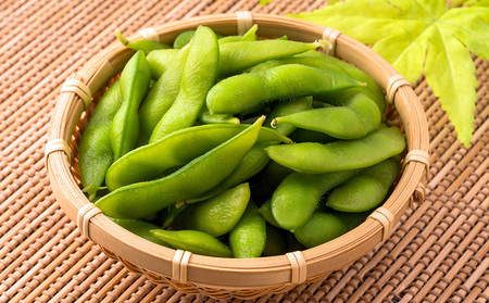 【奄美の塩】極上粗塩×4袋セット 鹿児島県 奄美群島 奄美大島 龍郷町 国産 奄美産 しお 塩 ソルト 粗塩 天然 海水 調味料 ミネラル お取り寄せ