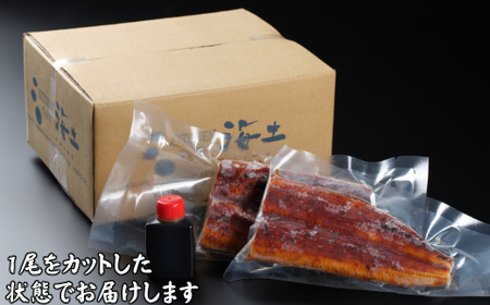 【数量限定】うなぎの蒲焼き１尾とかつおのたたき１節　食べ比べセット　鰹 カツオ 鰻 ウナギ 惣菜 おかず 冷凍 魚 魚介 海鮮 カツオタタキ 15000円 