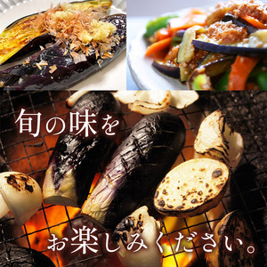 ナスの収穫体験チケット2名様 