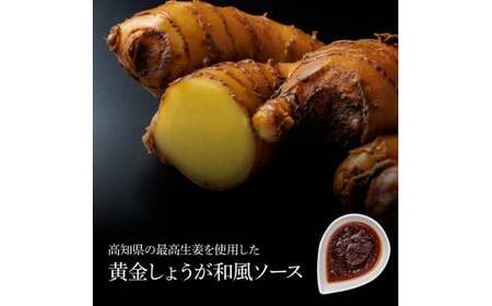 食べ比べ！天日塩ハンバーグ3種セット各2個(110g×3種) 合計6個 ハンバーグ 黒毛和牛 美鮮豚 天然塩 天日塩 デミグラスソース 和風ソース ソース付き 牛肉 豚肉 温めるだけ 冷凍 配送 国産 故郷納税