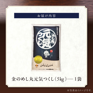 金のめし丸元気つくし 5kg 令和7年産_ 白米 お米 〔Gr045〕