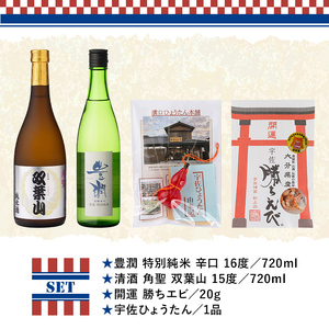 日本酒の飲み比べとお祝いセット THE USA Box/DX(4品)豊潤 双葉山 宇佐ひょうたん 日本酒 お酒 酒 プレゼント 贈答用 かちえび 海老【114000601】【一般社団法人　地域商社USA】