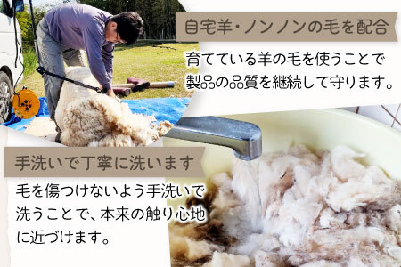 ひつじ飼いが作る ごほんゆびウールソックス Lサイズ(ベージュ)【ウール ソックス 5本指 靴下 Lサイズ ベージュ レディース メンズ 男女兼用 島根県 大田市】