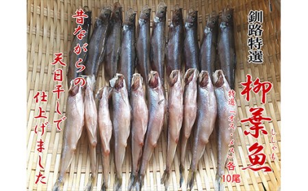 北海道産 ししゃも オスメス 食べ比べ セット 北海道 釧路市 F4F-3597