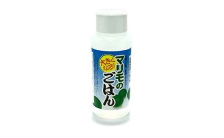 阿寒湖銘菓まりもプリン5個入と養殖まりもセット（グリーン） 北海道 釧路 ふるさと納税 養殖まりも 飼育 プリン カスタード スイーツ 菓子 F4F-1864