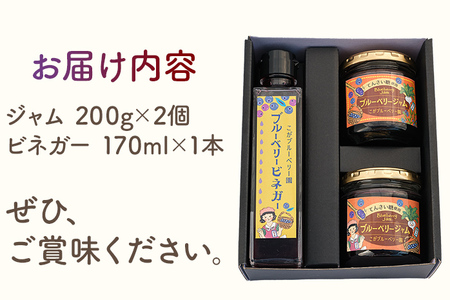ブルーベリージャム (2個)＆ ビネガー(1本) セット ブルーベリー ビネガー ジャム パン お酢 酢 朝食 かき氷果実酢 お取り寄せグルメ お取り寄せ 福岡 お土産 九州 福岡土産 取り寄せ グルメ 福岡県