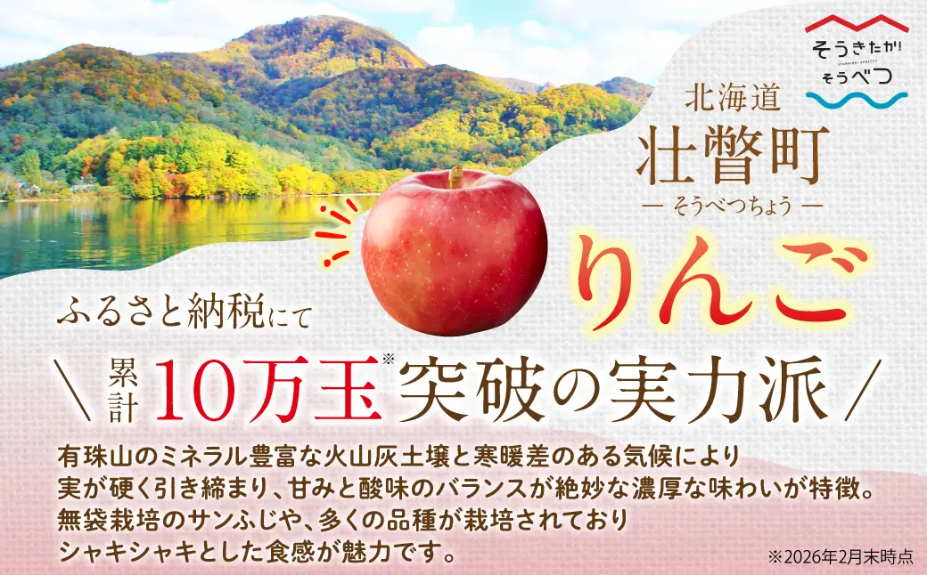 【先行予約】北海道壮瞥町産りんご「おいらせ」約3kg(7～10玉)＜2026年11月初旬にお届け＞ SBTF005