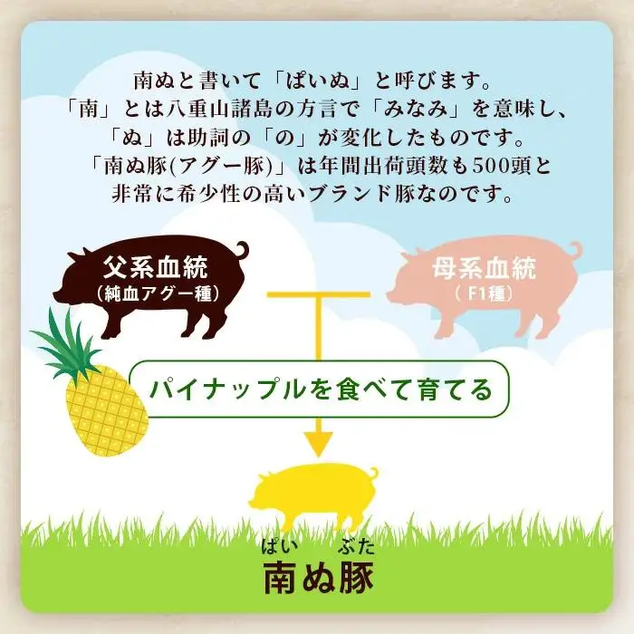 南ぬ豚 切り落とし 1kg (250g×4) 自家用 