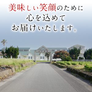 No.1072 鹿児島県日置市工場産！レーズンクリームサンド(計72個・8個入×9袋) ラムレーズン ミルク クリーム 洋菓子 お菓子 スイーツ【山内製菓】