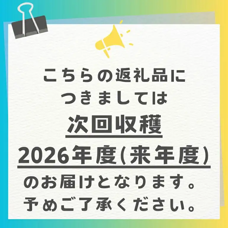 【 先行予約 2026年 発送】高安マンゴー園 家庭用 F・Dマースマンゴー糸満 1.5kg (3～6玉) 沖縄県産 マンゴー アップルマンゴー アーウィンマンゴー 完熟マンゴー 果物 くだもの フルーツ 沖縄 お取り寄せ 特産品 甘い 産地直送 農家直送 糸満市 96-1