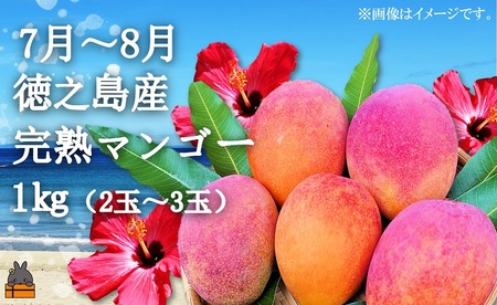 フルーツアイランド徳之島 季節のフルーツ定期便 ( 3回お届け 完熟マンゴー マンゴー パッションフルーツ たんかん 柑橘 果物 徳之島 奄美 鹿児島 定期便 世界自然遺産 旬 )