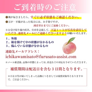 【市川三郷町産】プレミアム 桃2玉　【2026年7月中旬から発送】！Inakakara[5839-2017]