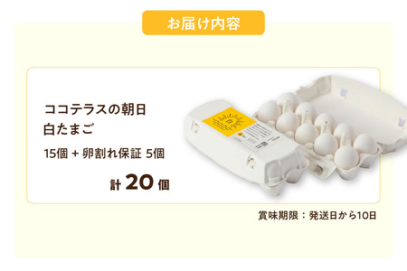 ココテラスの朝日（白たまご）15個 + 5個保証（計20個）【JGAP認証】 農家直送 新鮮 卵 タマゴ 白卵 玉子 鶏卵 朝食 夕食 夜食 朝ごはん たまご焼き だし巻き卵 オムレツ 卵ご飯 料理 濃厚 飼料にこだわった 卵かけご飯 米たまご 生卵 大容量 お取り寄せ 愛知県 常滑市