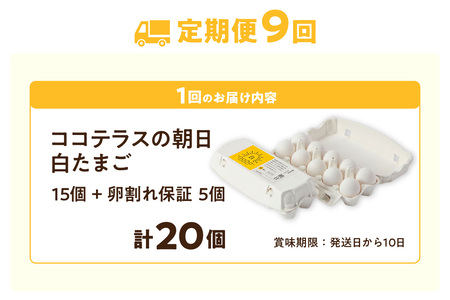 【9ヵ月定期便】ココテラスの朝日（白たまご）15個 + 5個保証（計20個）【JGAP認証】 農家直送 新鮮 卵 タマゴ 白卵 玉子 鶏卵 朝食 夕食 夜食 朝ごはん たまご焼き だし巻き卵 オムレツ 卵ご飯 料理 濃厚 飼料にこだわった 卵かけご飯 米たまご 生卵 大容量 お取り寄せ 愛知県 常滑市