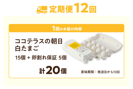 【12ヵ月定期便】ココテラスの朝日（白たまご）15個 + 5個保証（計20個）【JGAP認証】 農家直送 新鮮 卵 タマゴ 白卵 玉子 鶏卵 朝食 夕食 夜食 朝ごはん たまご焼き だし巻き卵 オムレツ 卵ご飯 料理 濃厚 飼料にこだわった 卵かけご飯 米たまご 生卵 大容量 お取り寄せ 愛知県 常滑市