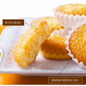 大きなマドレーヌ　12個