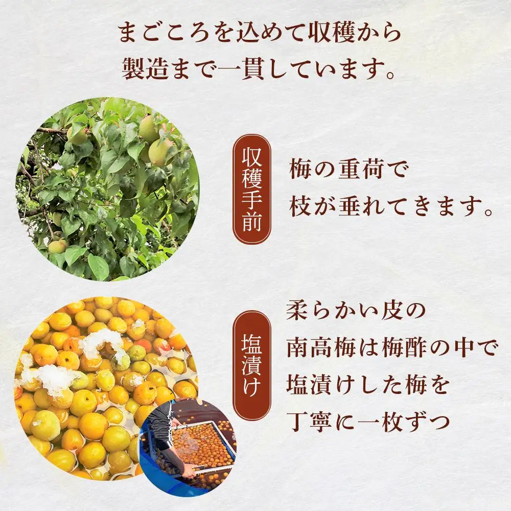 極上 紀州南高梅 はちみつ 梅干し 3L サイズ以上 合計 3kg ( 1kg × 3パック ) 塩分約8％ 化粧箱入り
