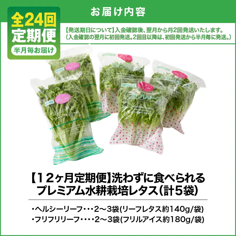 1629-2 【 全24回 定期便 】洗わずに食べられる プレミアム 水耕栽培 レタス セット（ 計5袋 ） KN064-T04 野菜