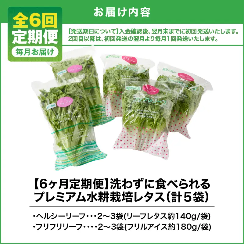 1627-2 【 全6回 定期便 】洗わずに食べられる プレミアム 水耕栽培 レタス セット（ 計5袋 ） KN064-T02 野菜