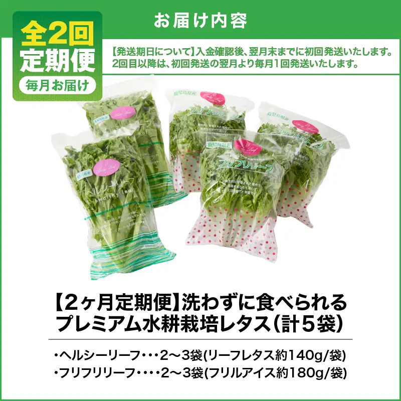 1625-2 【 全2回 定期便 】洗わずに食べられる プレミアム 水耕栽培 レタス セット（ 計5袋 ） KN064-T01 野菜