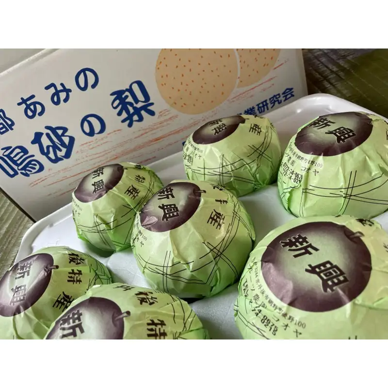【先行予約／数量限定100】新興梨　5kg（2026年10月中旬～発送）