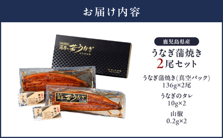 【 土用の丑の日特集 】 1654-1 鹿児島県産 うなぎ蒲焼き2尾セット KN058-002-02 魚 鰻
