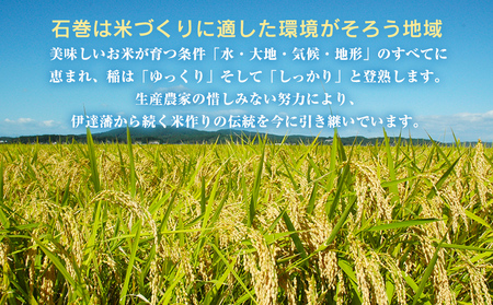 ＜定期便4回・毎月発送＞ 令和7年 だて正夢 いしのまき産米 精米 12kg 3kg×4回
