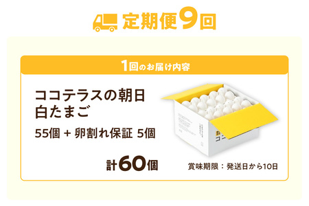 【9ヵ月定期便】ココテラスの朝日（白たまご）55個 + 5個保証（計60個）【JGAP認証】 農家直送 新鮮 卵 タマゴ 白卵 玉子 鶏卵 朝食 夕食 夜食 朝ごはん たまご焼き だし巻き卵 オムレツ 卵ご飯 料理 濃厚 飼料にこだわった 卵かけご飯 米たまご 生卵 大容量 お取り寄せ 愛知県 常滑市
