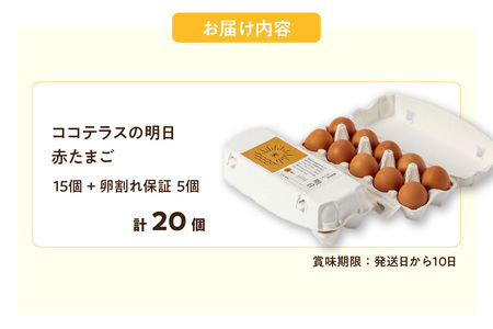 ココテラスの明日（赤たまご）15個 + 5個保証（計20個）【JGAP認証】 農家直送 新鮮 卵 タマゴ 赤卵 玉子 鶏卵 朝食 夕食 夜食 朝ごはん たまご焼き オムレツ 卵ご飯 料理 濃厚 飼料にこだわった 卵かけご飯 米たまご 生卵 大容量 お取り寄せ 愛知県 常滑市
