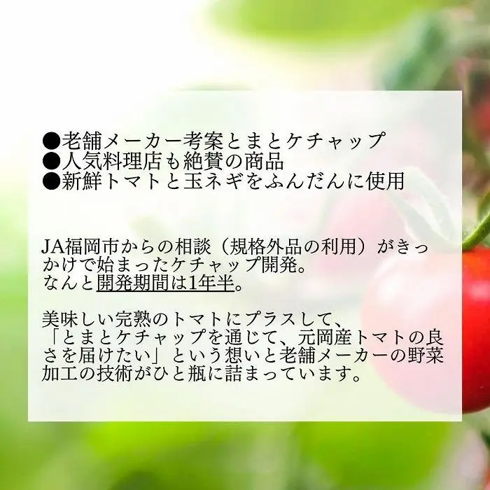 元岡とまとケチャップ 330g×4 福岡市元岡産トマト使用 無添加製法 | 調味料 食品 加工食品 人気 おすすめ 送料無料