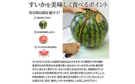 《先行予約 2026年7月中旬頃～8月上旬頃発送》山形県産 すいか 訳あり1玉 (約9kg前後) スイカ 西瓜 デザート フルーツ 果物 くだもの 果実 食品 山形県 FSY-2398