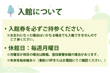 【入館券】那賀町山のおもちゃ美術館【大人1名（高校生以上）・子供１名（小学生～中学生）】 CA-6 徳島 那賀 おもちゃ美術館 おもちゃ 美術館 チケット 入場券 知育 木育 遊べる美術館 体験 体験型 こども 子供 子ども 親子 遊び場 木 柚子 茶葉 那賀町 林業 森林 自然 魅力 温もり