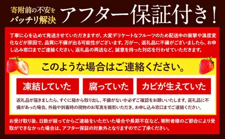 あまおう いちご1080g  (4パック)  あまおう いちご　