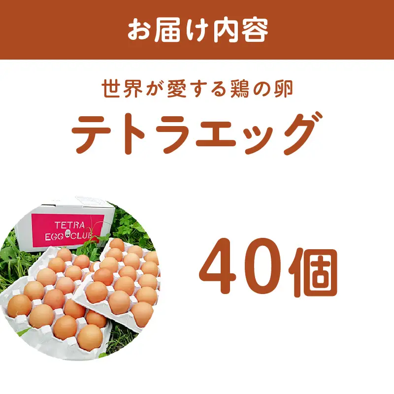 テトラエッグ40個入【A5-459】