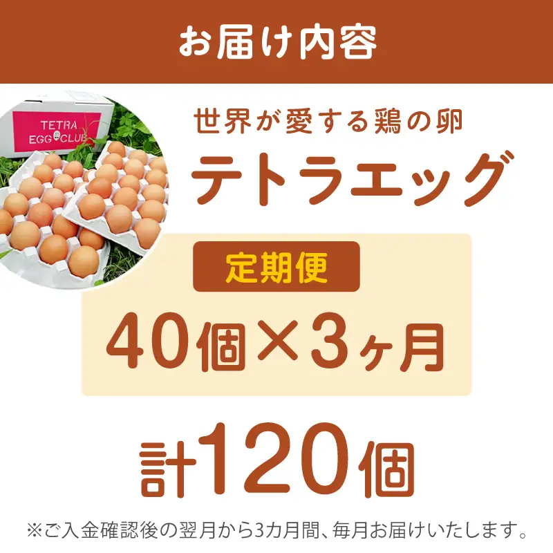 テトラエッグ(40個/月)【3ヵ月定期便】【C5-031】