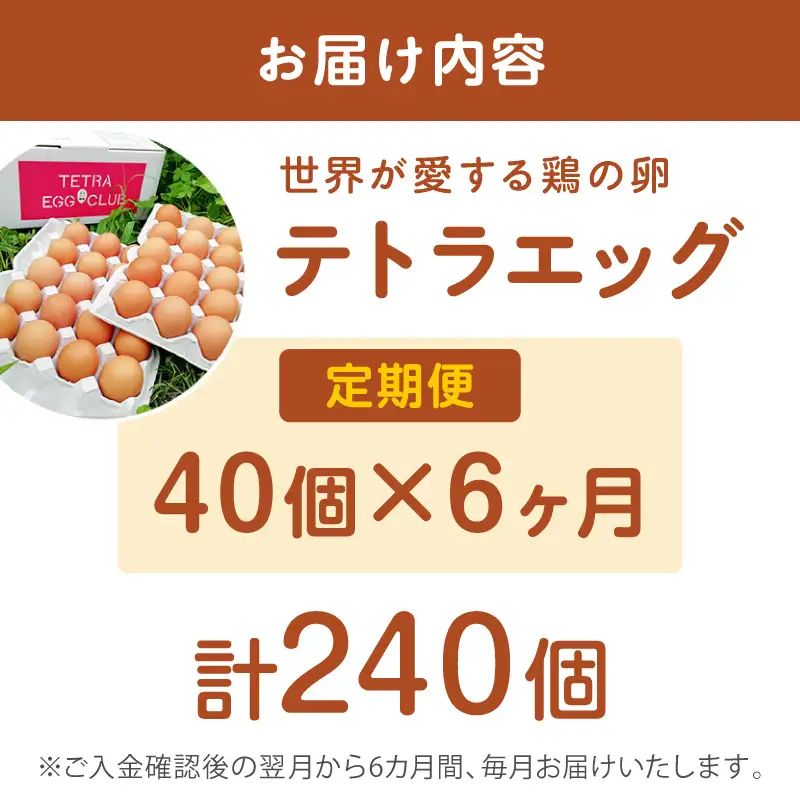 テトラエッグ(40個/月)【6ヵ月定期便】【F8-004】