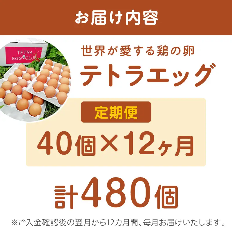 テトラエッグ(40個/月)【12ヵ月定期便】【J3-015】
