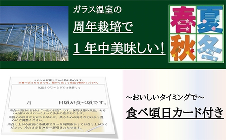 クラウンメロン　白　１玉入　12ヶ月連続届け【配送不可：離島】 果物類 フルーツ 